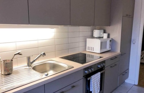 Liotard Maison | Cool Flat + 4 Bikes to Explore Geneva