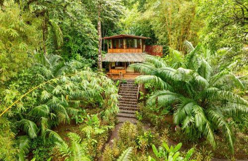 Drake Bay Station Balnéaire | Copa De Arbol Beach & Rainforest Resort