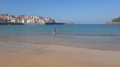 Lekeitio Appartement | Coqueto apartamento en el casco viejo