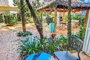 Cairns Central Business District Hôtel | Coral Tree Inn