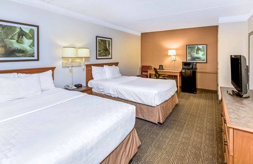 North San Antonio - SAT Hôtel | Coratel Inn & Suites by Jasper Wonderland Deluxe 2 Double Bed NS