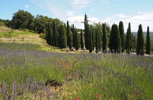 San Gimignano Appartement | Cornocchio 3 - Appartement avec piscine