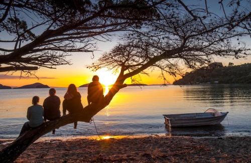 Coromandel Station Balnéaire | Coromandel Shelly Beach TOP 10 Holiday Park