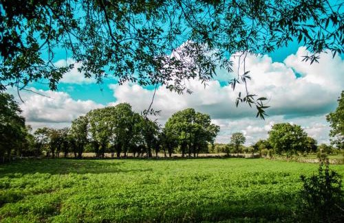 Annaghdown Appartement | Corrib View Farmhouse