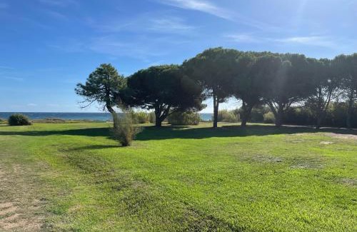 Poggio-Mezzana Appartement | Corsica Poggio