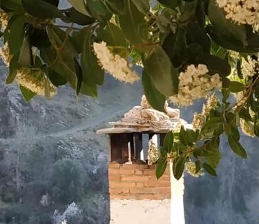 Guejar Sierra Maison | Cortijo La Solana