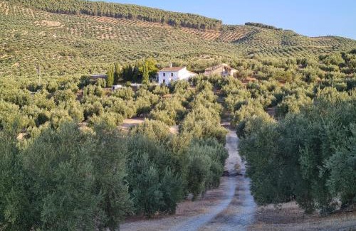 Alcaudete Maison | Cortijo Las Rodrigas