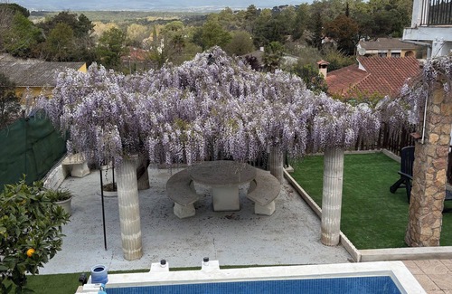 Puigventos Appartement | Costa Brava Paradís