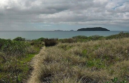 Tairua Cottage | Cosy and Chic on Ocean Beach - Maison de vacances Tairua