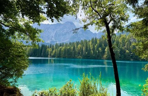 Oberaichwald Appartement | Cosy and Stylish Apartment near Faaker See
