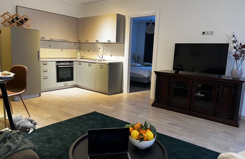 Druskininkai Appartement | Cosy aparment in the center of Druskininkai 1 min to the Aqua park(Pet friendly)