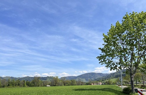 Kirchzarten Appartement | Cosy apartment for 2 people with WIFI, TV, balcony and parking