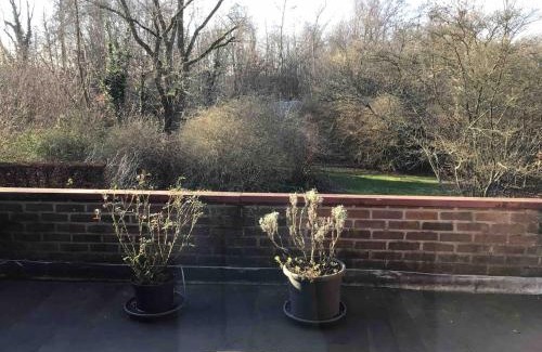 Opdorp Appartement | Cosy attic apartment, terrace, 1 bedroom North