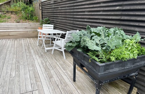 Tauranga Maison | "Cosy Board and Batten Home"