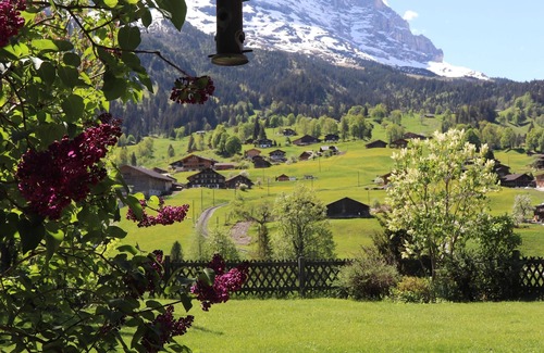 Grindelwald Chalet De Ski | Chalet confortable avec grand jardin et vue sur la montagne, garage, WiFi / WIFI gratuit