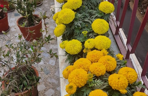 Phool Bagan Appartement | Cosy Comfortable safe stay at affordable price in Kolkata #3