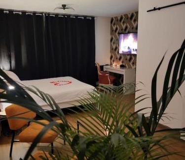 Marsannay-la-Cote Appartement | Cosy Corner - Appartement spa - Jacuzzi