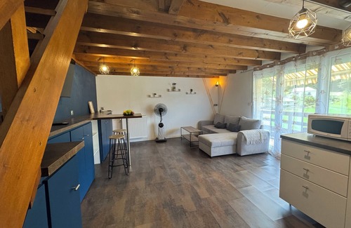 Saint-Jeoire-Prieure Appartement | Cosy duplex in Challes-les-eaux