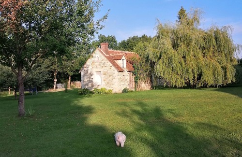 Saint-Germain-des-Grois Lit Et Petit-Déjeuner | Cosy guest house - relaxation, games and conviviality