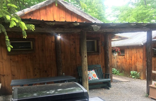 Trumansburg Cabine | Confortable cabine de lac propery 4 personnes!