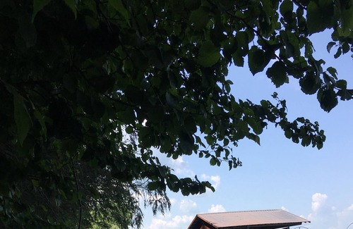 Trumansburg Cabine | Confortable cabine de lac propery 4 personnes!