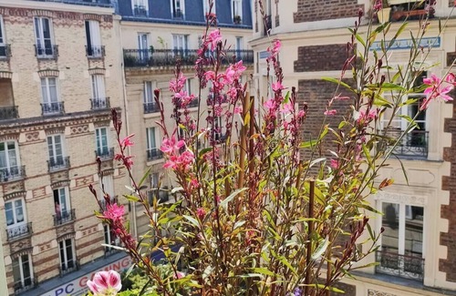 Bercy Appartement | Charmant 2 pièces parisien cosy rue Montgallet