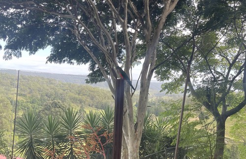 Palen Creek Maison | Hilltop Hideaway, secluded Spa, Pool table, 20min from Flannigans