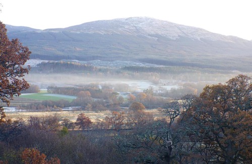 Killin Cabine | Cosy Rowan woodland lodge no1