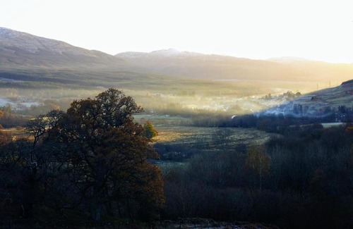 Killin Cabine | Cosy Rowan woodland lodge no1