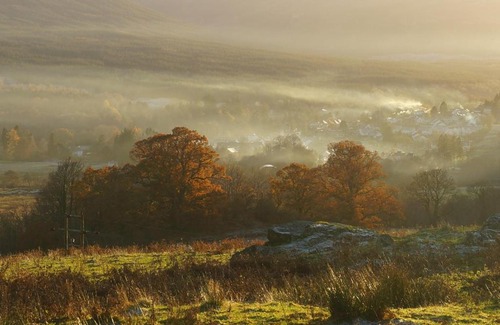 Killin Cabine | Cosy Rowan woodland lodge no1