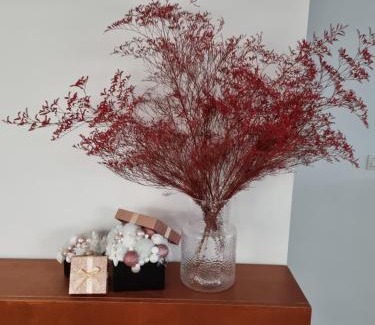 Lombardsijde Maison | cosy@sea