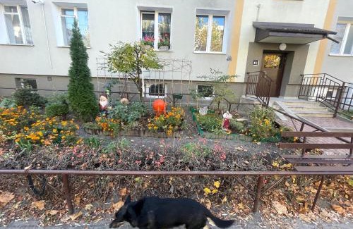 Pulawy Appartement | Cosy studio in quiet location