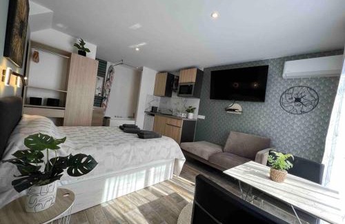 Tassin Appartement | Cosy studio l'éclipse Balneo