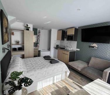 Tassin Appartement | Cosy studio l'éclipse Balneo
