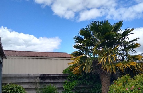 Matamata Appartement | Cosy two bedroom studio in Matamata