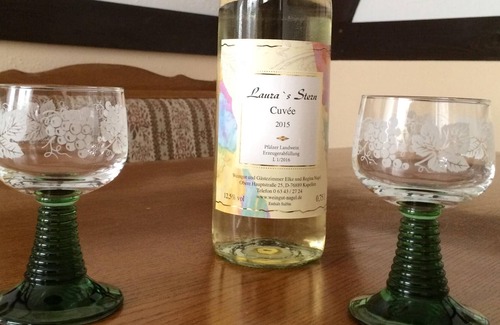Kapellen-Drusweiler Maison | vignoble Cosy sur la Route des Vins du Sud