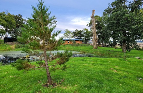 Cronberry Cabine | Cosy wood cabin in rural area near national park