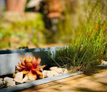 Sainte-Suzanne-and-Chammes Lit Et Petit-Déjeuner | Coté jardin