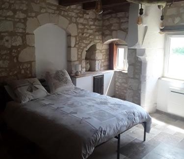 Lemere Maison | Cottage 10 minutes from Chinon