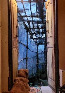 Versova Maison | Cottage 101