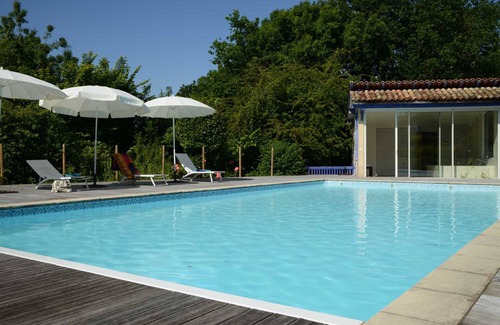 Saint Palais Cottage | Gite 4 étoiles entre vignes et bois, proche de la Gironde