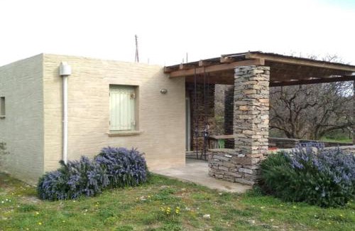 Kea Maison | Cottage amidst vines and Oak Trees