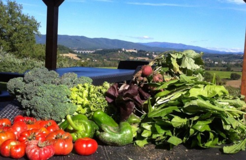 Pergine Valdarno Autre | Ferme Poggianto