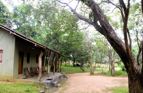 Habarana Cabine | Cottage for 2 - Eagles Wing's GuestHouse
