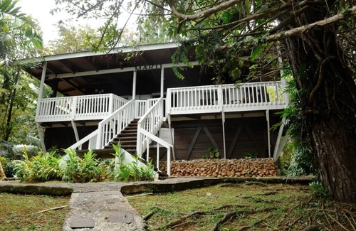 Canovanas Cottage | Cottage in a 5 acre property w. a creek in the Rain Forest all for yourself!
