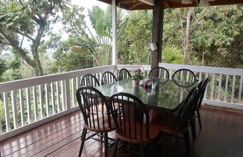 Canovanas Cottage | Cottage in a 5 acre property w. a creek in the Rain Forest all for yourself!