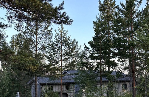 Nissedal Maison | Exclusif 50 m² - tout compris! Petit mais parfaitement formé. Pure nature.