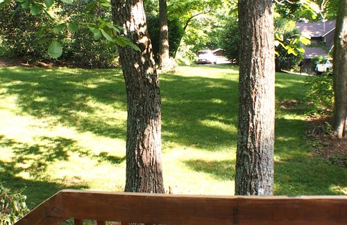 Royal Pines Maison | Privé et pratique, randonnée, patio agréable, près de Asheville & Hendersonville