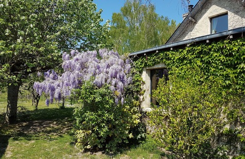 Les Rosiers-sur-Loire Maison | Gîte "Lumières de Loire"