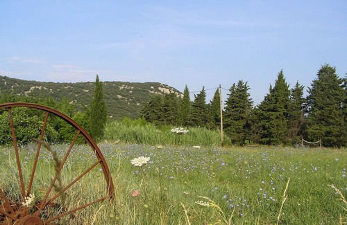 Sauve Cottage | Spacieus Cottage, PISCINE, 3 Chambres, 5 personnes, son jardin ombragé, wifi